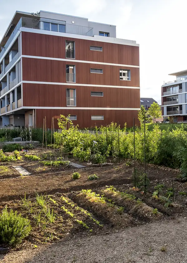 Découvrez les secrets d'un bâtiment qui respire la santé !
