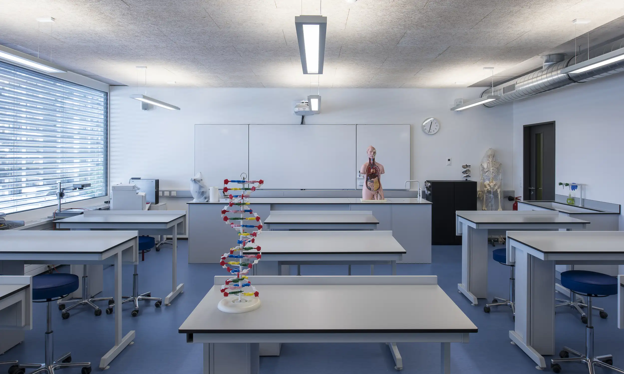 Lycée