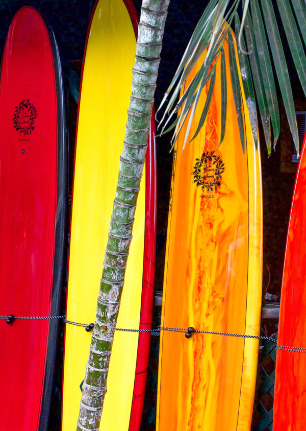 Alaïa Bay : On surfe sur la vague à Sion !