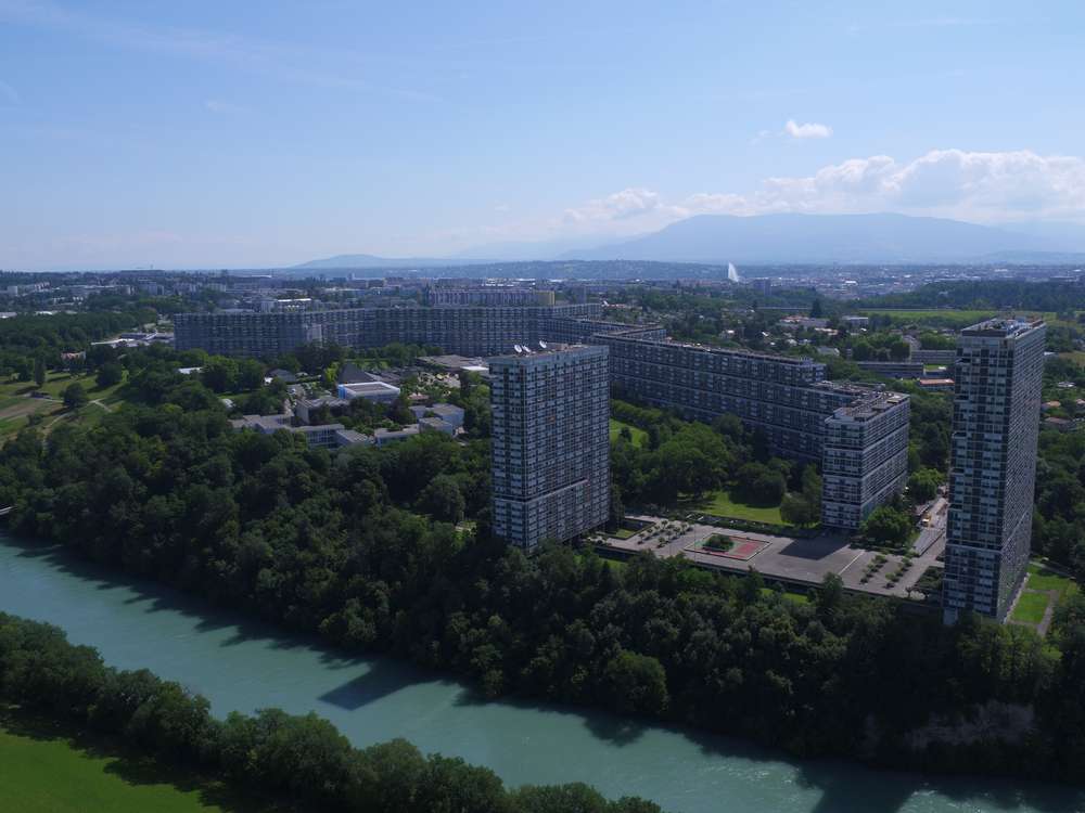 Le Lignon La Renovation De L Allee 14 Est Terminee
