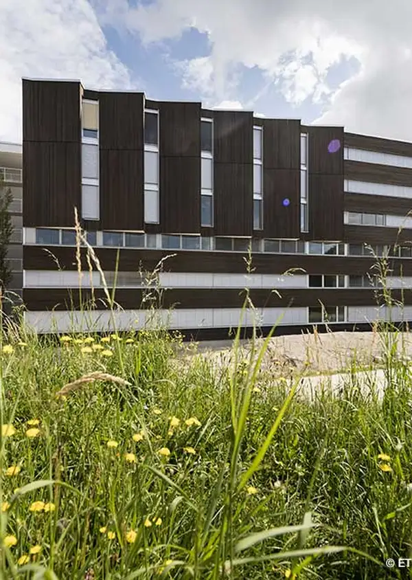 Nouvelle résidence pour étudiants fête son bouquet de chantier à Zurich