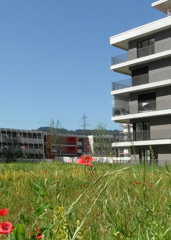 Le quartier Eikenøtt