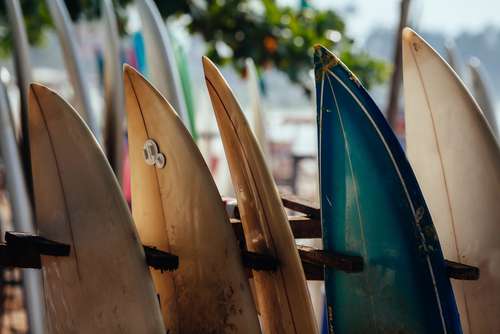 Alaïa Bay : On surfe sur la vague à Sion !