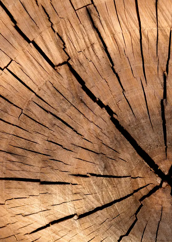 Baustoff Holz
